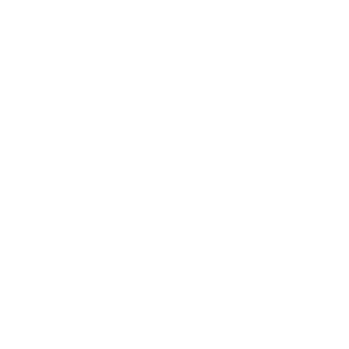 Generalforsamling